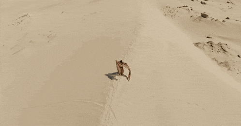 a naked man is laying on a sandy hillside
