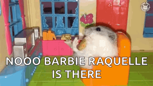 a hamster is sitting in an orange chair in a doll house with the words nooo barbie raquelle is there above it