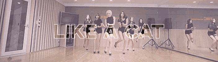 a group of women are dancing in front of a mirror with the words like a cat on the bottom