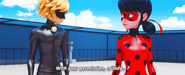 a ladybug and cat noir are standing next to each other and ladybug asks cat noir if he has permission