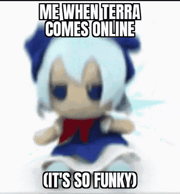 a blurred image of a stuffed animal with the words `` me when terra comes online it 's so funky '' .