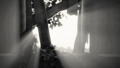 the sun is shining through the trees in a black and white photo