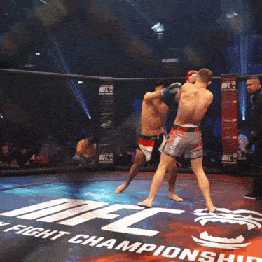 two men fighting in a ufc fight championship