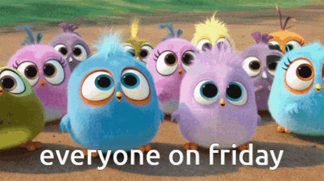 a bunch of angry birds standing next to each other with the caption everyone on friday