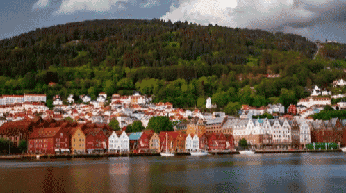 a row of houses sit on the shore of a lake