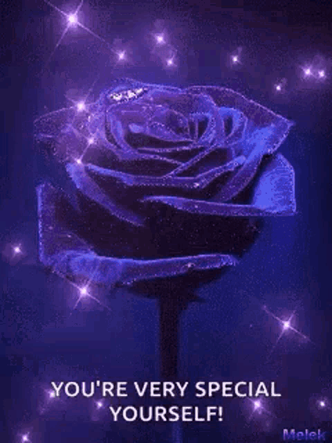 a purple rose with a message that says `` you 're very special yourself ! ''