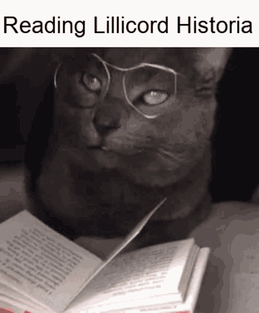 Cat Lillicord GIF - Cat Lillicord Reading GIFs