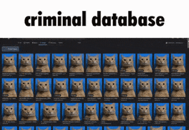 Criminal Database Images GIF - Criminal Database Images Mug Shot GIFs