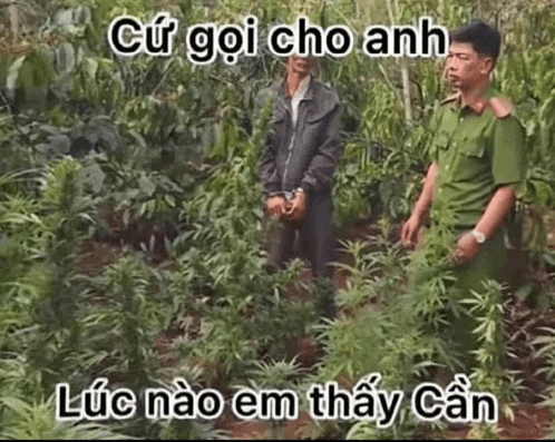 a man in handcuffs is standing next to a police officer in a field of marijuana plants