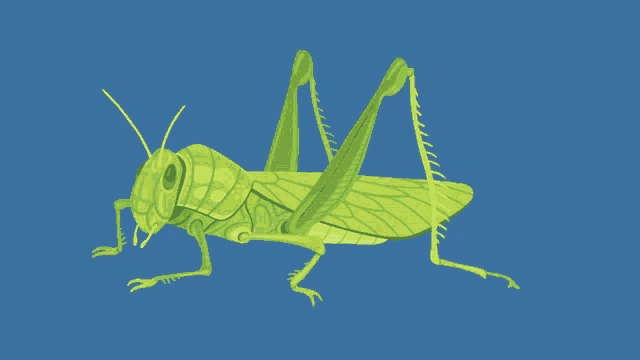 a green grasshopper against a blue background with the letter m on it
