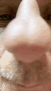 Nose Smoke GIF - Nose Smoke Dog GIFs