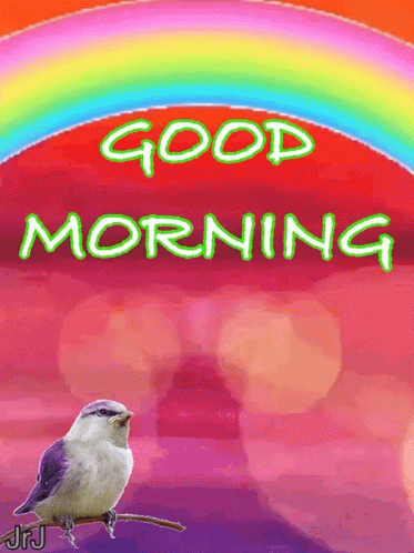 Goodmorning Rainbow GIF - Goodmorning Rainbow GIFs