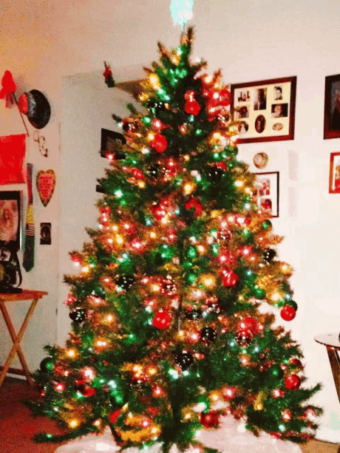 a christmas tree with red green and gold ornaments is in a living room
