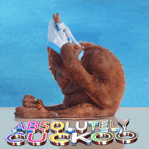 a picture of a monkey with the words " absolutely cuckoo " on the bottom