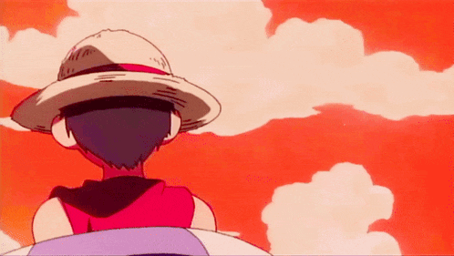a person wearing a straw hat and a red shirt is looking at the sky