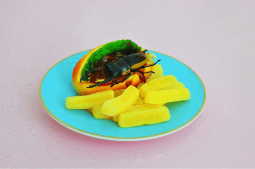 Fastfood Insect GIF - Fastfood Insect Hot Dog GIFs