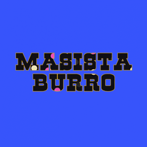 Masista Burro GIF - Masista Burro GIFs