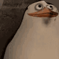 a close up of a penguin with big eyes and a long neck .