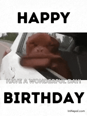 a dog is sticking its head out of a car window and says `` happy birthday '' .