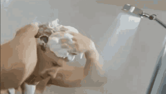 a man washing his hair in a shower with the words wash it behind him