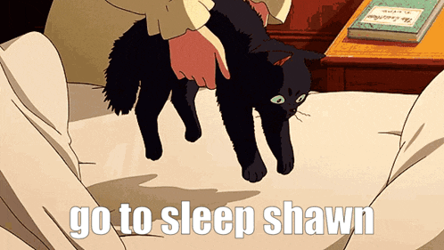 a person holding a black cat with the words go to sleep shawn