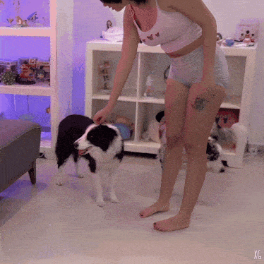 a woman is petting a black and white dog in a room with a shelf full of toys