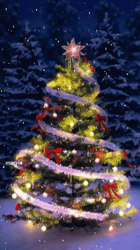 Winter Solstice Christmas Tree GIF - Winter Solstice Christmas Tree GIFs