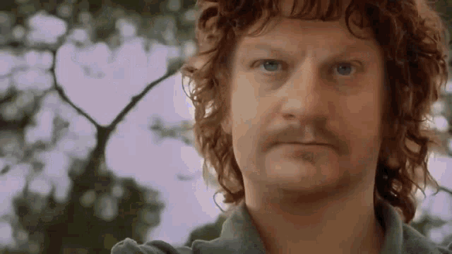a man with curly hair and a beard is looking at the camera .