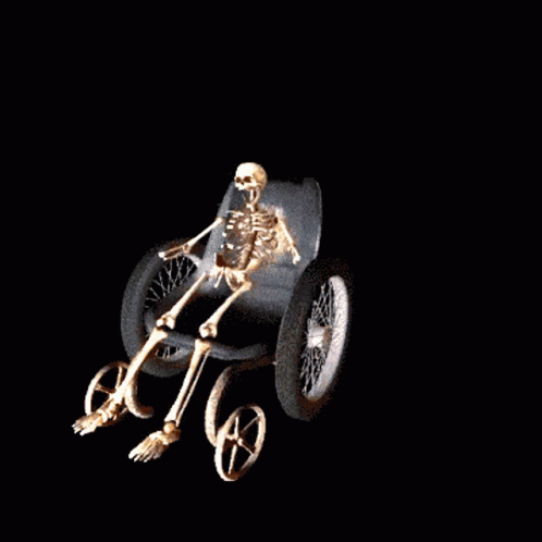Skeleton Wheelchair GIF - Skeleton Wheelchair Wheelie GIFs