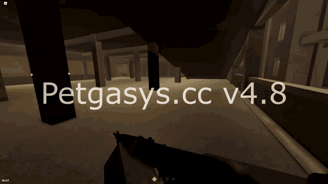 a screenshot of a video game with the words petgasys.cc v4.8