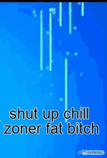 Shut Up Chill Zoner Fat Bitch H Gnag GIF - Shut Up Chill Zoner Fat Bitch Chill Zone H Gnag GIFs