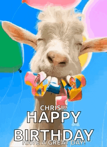 a goat with balloons in its mouth says happy birthday chris !