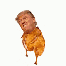 a dog with donald trump 's face on it .