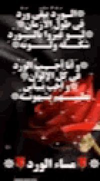 a black background with red roses and arabic writing on it .