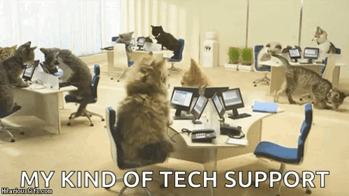 Kitty Computer GIF - Kitty Computer Customerservice GIFs