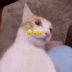 a white cat with three yellow smiley faces on its face