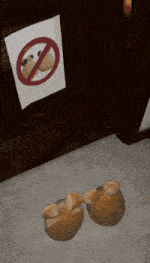 a pair of slippers are on the floor in front of a door with a no balls sign on it