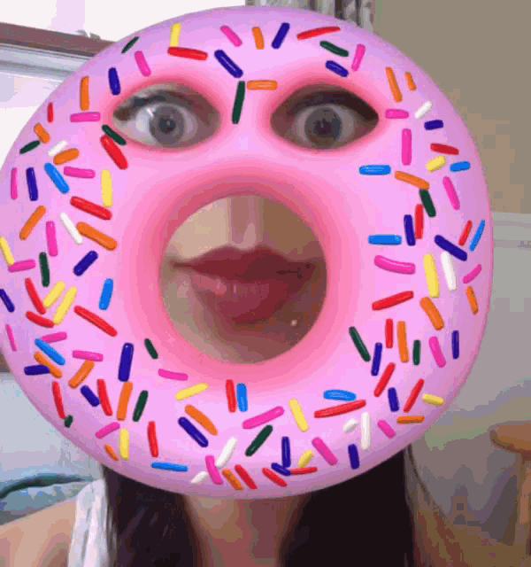 Donut Pink GIF - Donut Pink Sprinkles GIFs