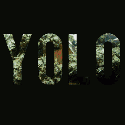 the word yolo is written with marijuana leaves on a black background