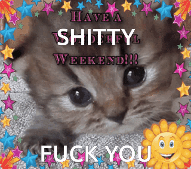 a picture of a kitten with the words " have a shitty weekend "