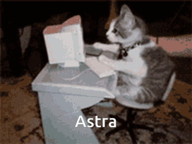 a cat is sitting at a desk with a computer and the word astra above it