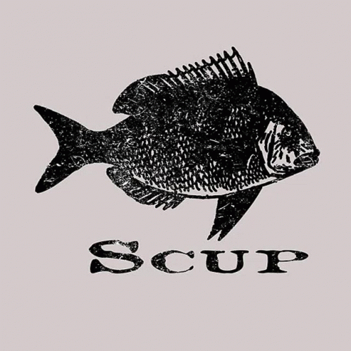 Scup Fish GIF - Scup Fish Fishyy GIFs