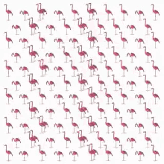 Vgk Vgk Flamingo GIF - Vgk Vgk Flamingo Flamingo GIFs