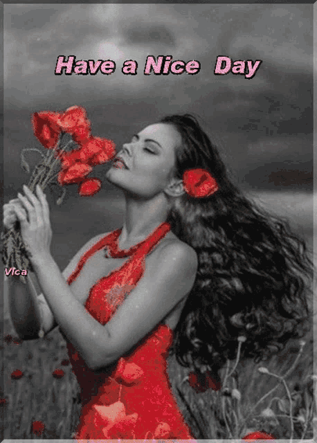 a woman in a red dress is holding a bouquet of red flowers and the words have a nice day are above her