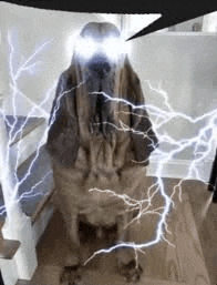 a dog is sitting on a wooden floor with lightning coming from its eyes .