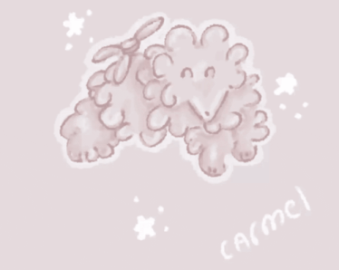 a drawing of a sheep with the name carmel written on the bottom