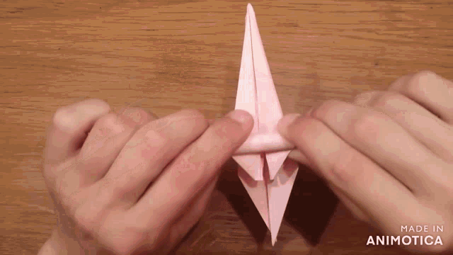 a person is making an origami bird with the words made in animotica on the bottom right