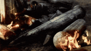 a pile of burning logs with a skull in the middle