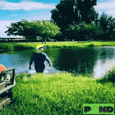 Pond0x Pndc GIF - Pond0x Pond Pndc GIFs