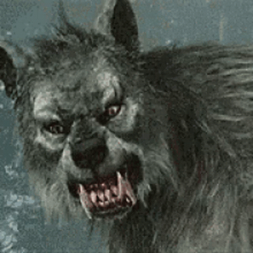 Wolf Werewolf GIF - Wolf Werewolf Roar GIFs